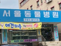 서울동물병원