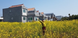 표선민박