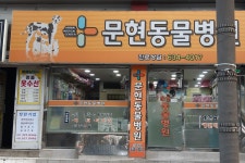 문현동물병원