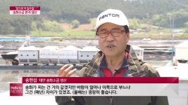 제일염업사