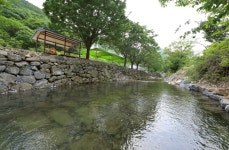 청강수 계곡 펜션 가든