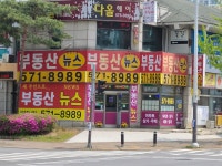 주공부동산뉴스 공인중개사사무소
