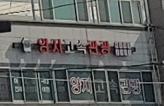 양지고속관광