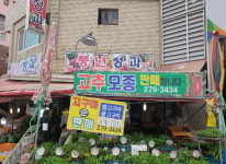 풍년청과