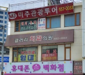 미주관광투어