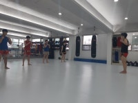 정함체육관