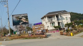 정동진 백악관 펜션