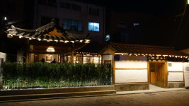 소나무
