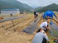 물금 주말농장