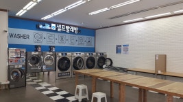 크린업24 생연점