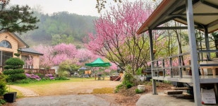 광릉수목원 꽃향기펜션