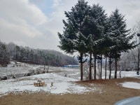 익투스토종닭