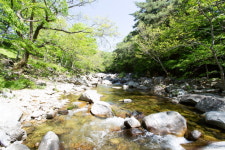 화이트하우스펜션