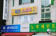 월드스포츠