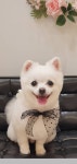 그루밍존