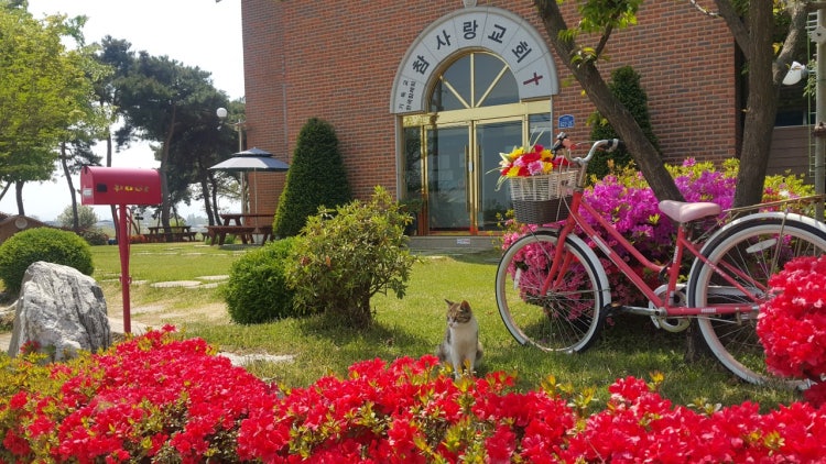 평택참사랑교회 사진 2