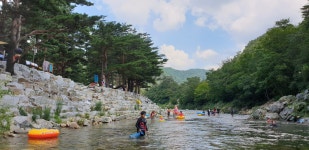 샘골솔밭야영장