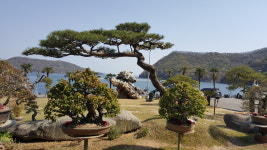 제일종합중기