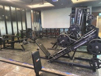 더바디짐