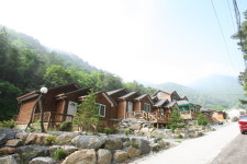 정선 도원펜션&캠핑장