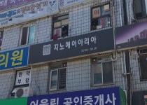 지노헤어아리아