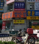 정안경