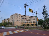 보림초등학교