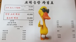 오리농장