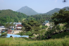 한국관악협회 금산군지부