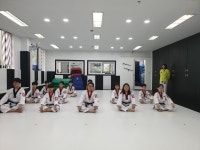 충효태권도