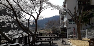 무흘계곡 무흘나인펜션