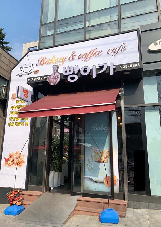 빵이가 사진