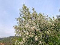 철원가산농원캠핑장