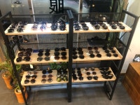서전안경원
