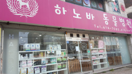 하노바동물병원