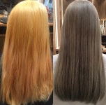 아스콧헤어