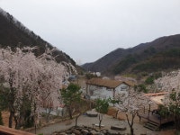 지리산이야기펜션