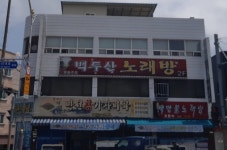 만선참가자미