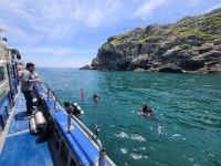 조이풀다이브리조트