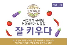 세농유비농업회사법인