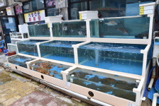 진희횟집 속초본점