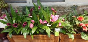 세농유비농업회사법인