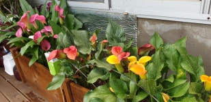 세농유비농업회사법인