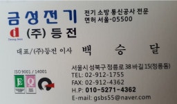 금성전기