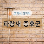 소리꼴노래광장 | 소리꼴라쥬