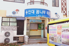 용인대 꿈나무 태권도
