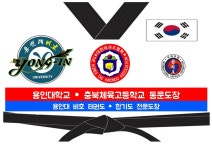 용인대비호태권도합기도