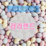 소리꼴노래광장 | 소리꼴라쥬