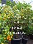 주연농장