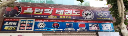올림픽태권도